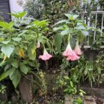 IMG_4560-0.jpeg